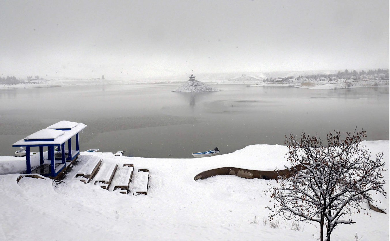 BrianLing 's Station